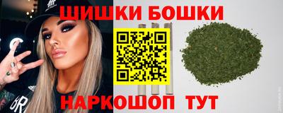 прущие грибы Новозыбков