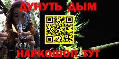 прущие грибы Новозыбков