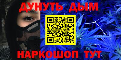 прущие грибы Новозыбков