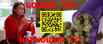 прущие грибы Новозыбков