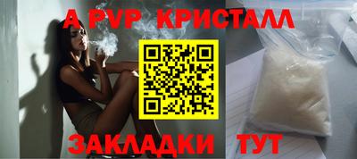 прущие грибы Новозыбков