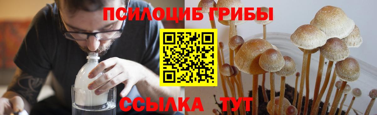 Псилоцибиновые грибы мицелий  Вход с VPN  Новокубанск 